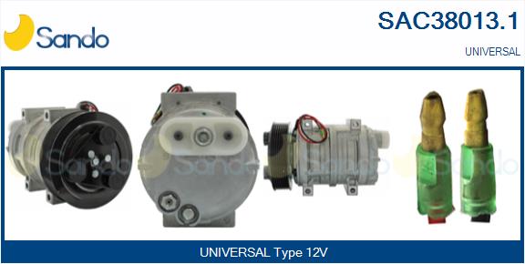 SAC38013.1