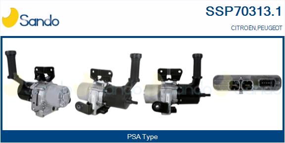SSP70313.1