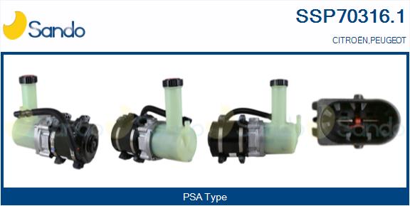 SSP70316.1