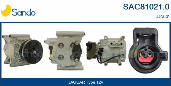 SAC81021.0