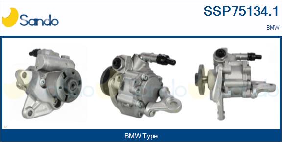 SSP75134.1