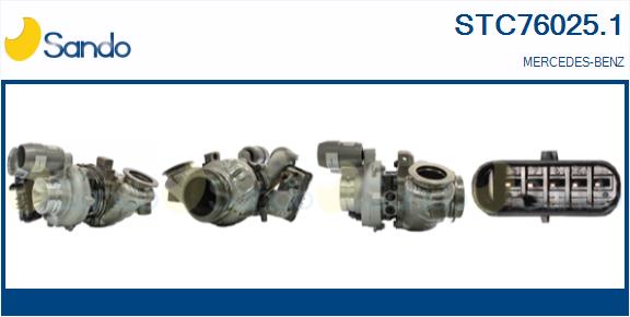 STC76025.1
