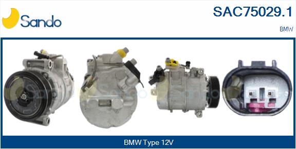 SAC75029.1
