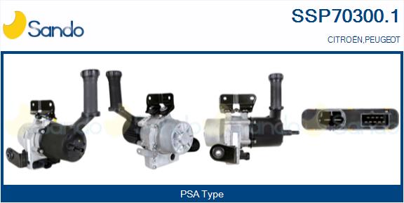 SSP70300.1
