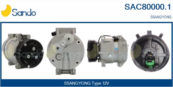 SAC80000.1