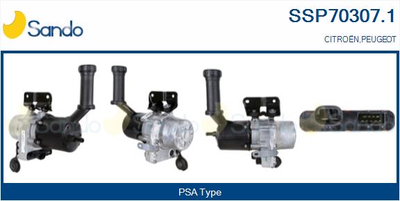 SSP70307.1