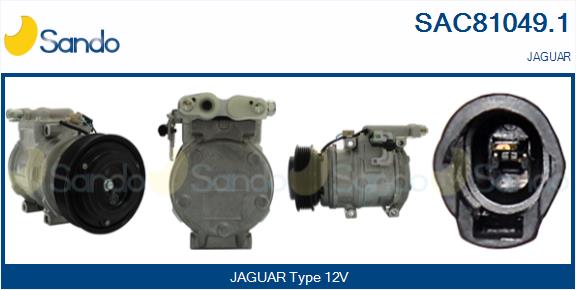 SAC81049.1