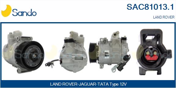 SAC81013.1