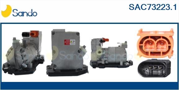 SAC73223.1