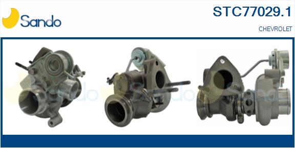 STC77029.1