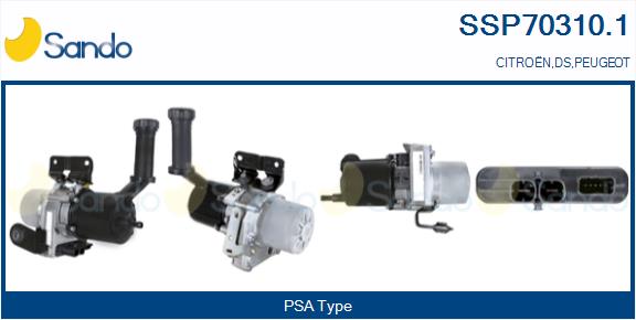 SSP70310.1