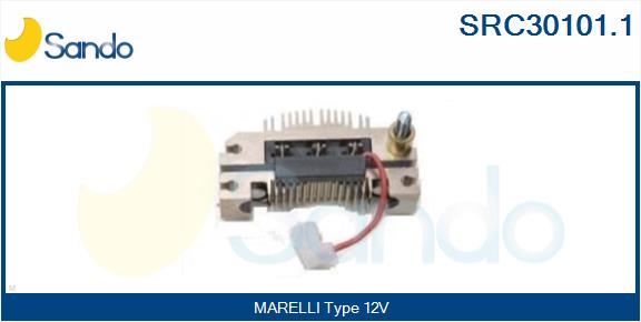 SRC30101.1