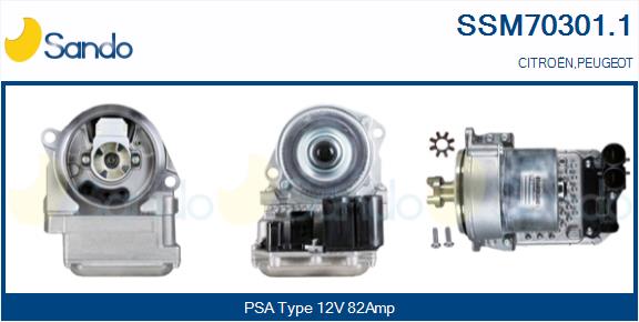 SSM70301.1