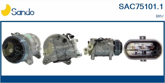 SAC75101.1