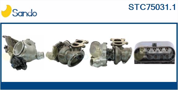 STC75031.1