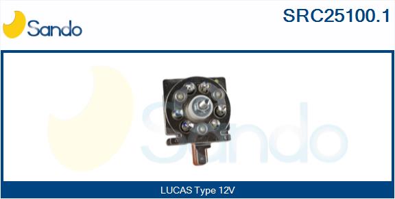 SRC25100.1