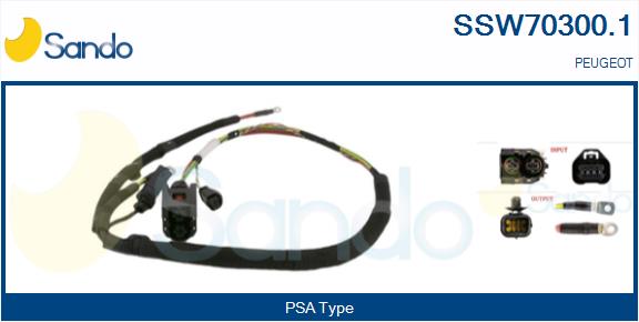 SSW70300.1