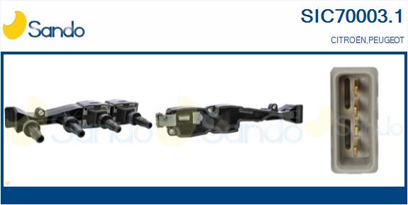 SIC70003.1