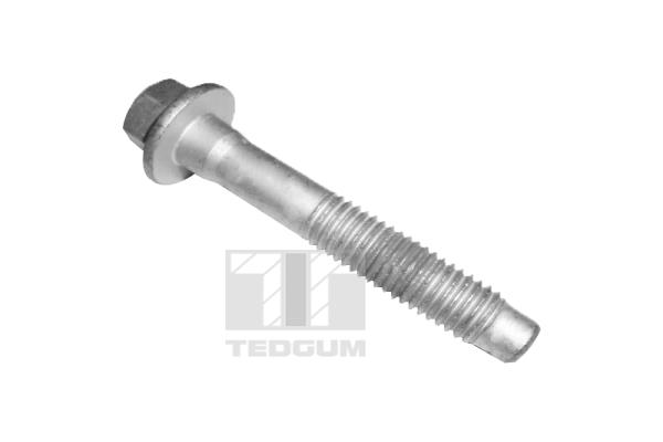 TED46565