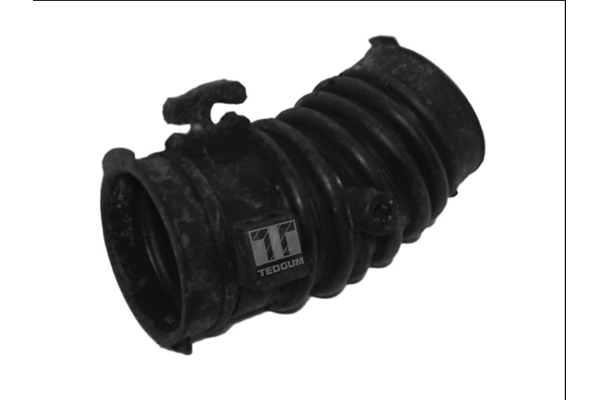 L81313221A