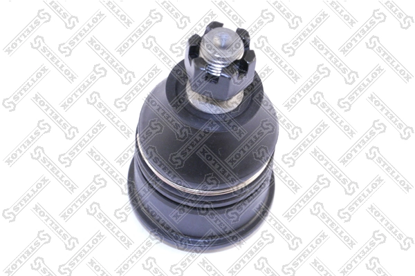 51220-SF1-003
