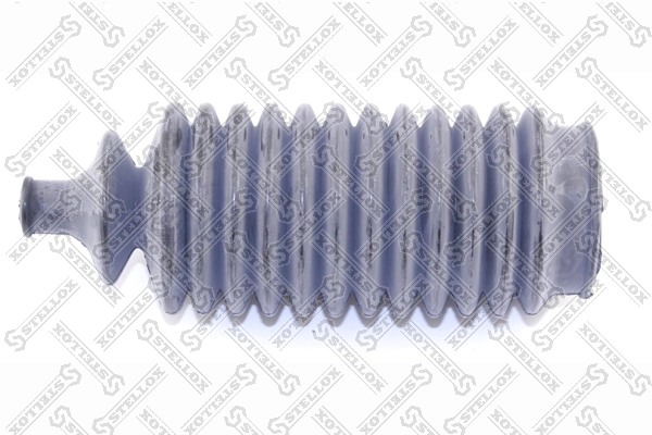 A00132126
