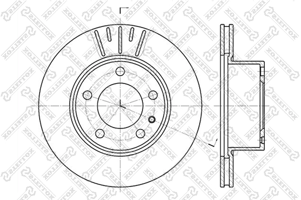 6020-1513V-SX