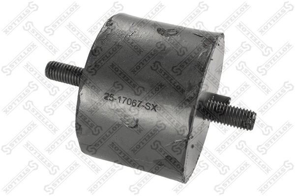25-17067-SX