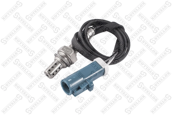 6M519-G444-DB