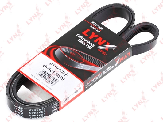 6PK1655