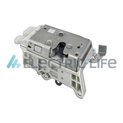 ZR40206