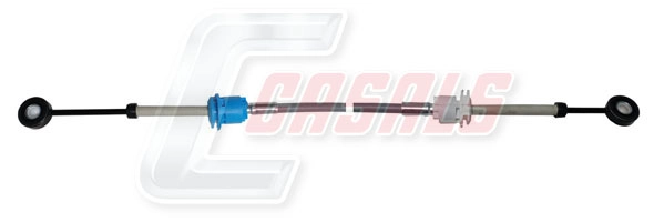66209
