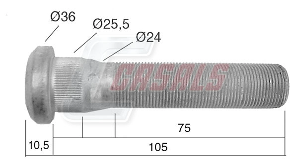21531