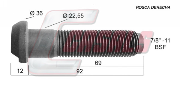 21303