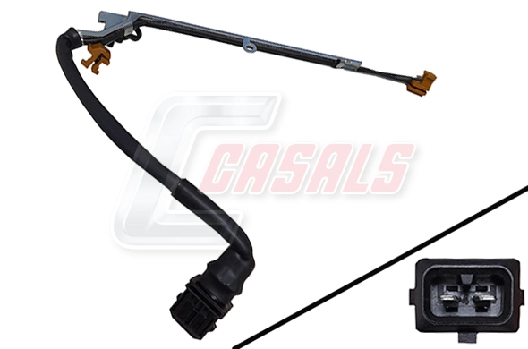50291