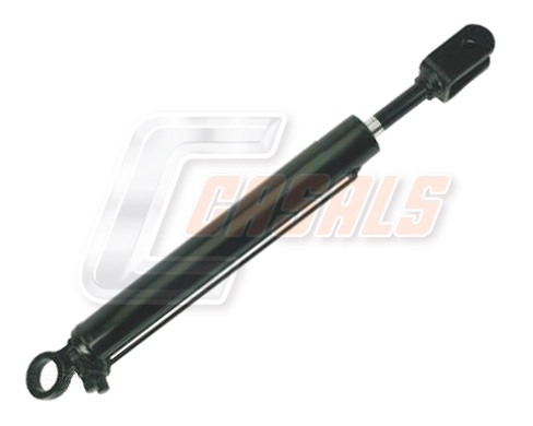 CH209