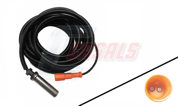 50319