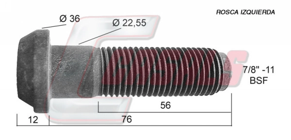21296