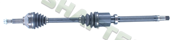 FO308R