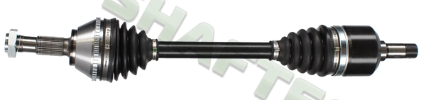 P154L
