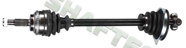 R289L