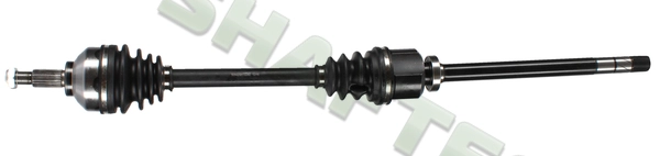 R248R