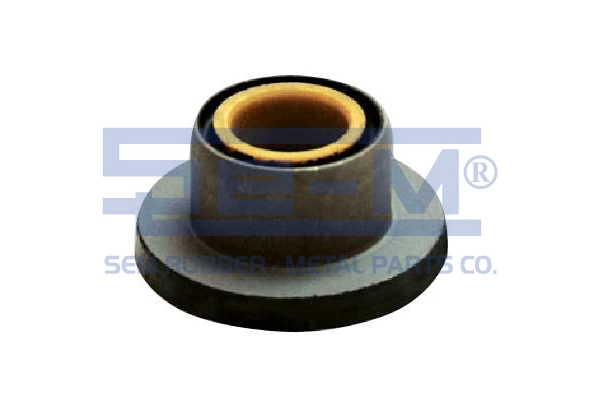 9069