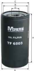 TF 6503