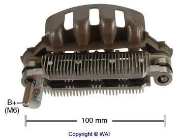 IYR10038