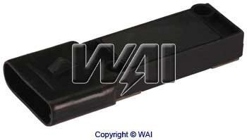 ICM241