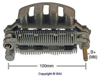 IMR10048