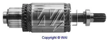 61-8117
