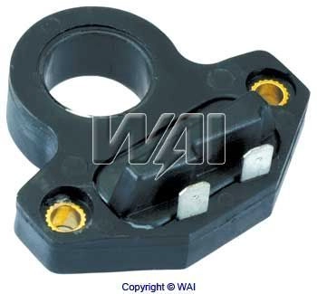 ICM515
