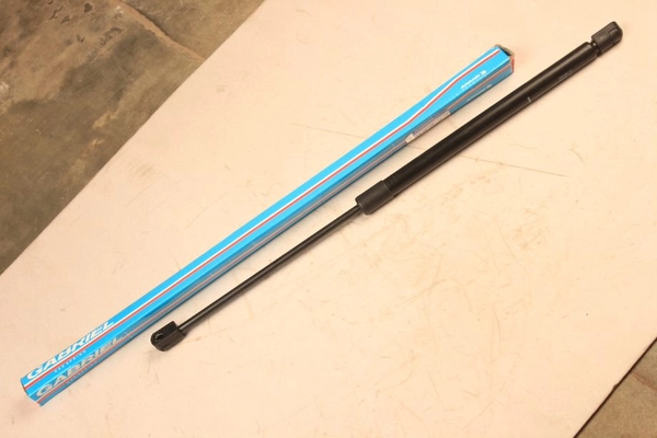 AM-G81538